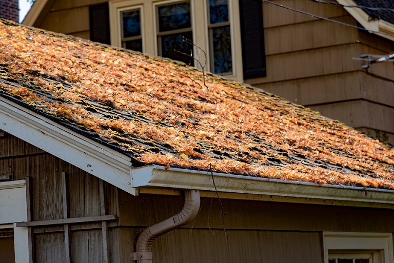 Prepare your roof for fall and avoid future issues.